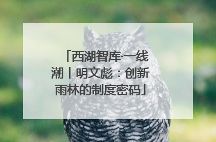 西湖智库·一线潮丨明文彪：创新雨林的制度密码