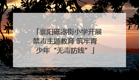 襄阳磁器街小学开展禁毒主题教育 筑牢青少年“无毒防线”