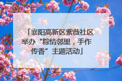 襄阳高新区紫薇社区举办“粽情邻里，手作传香”主题活动