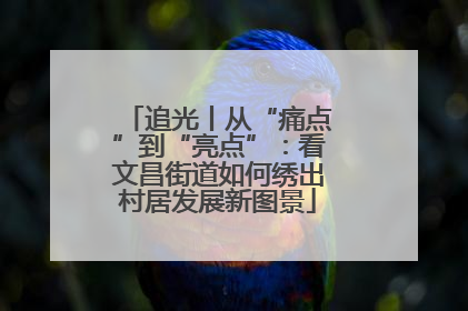 追光丨从“痛点”到“亮点”：看文昌街道如何绣出村居发展新图景