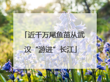 近千万尾鱼苗从武汉“游进”长江