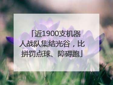 近1900支机器人战队集结光谷，比拼罚点球、障碍跑