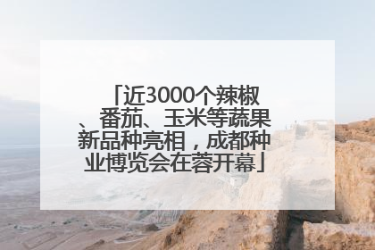 近3000个辣椒、番茄、玉米等蔬果新品种亮相，成都种业博览会在蓉开幕