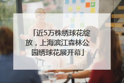 近5万株绣球花绽放，上海滨江森林公园绣球花展开幕