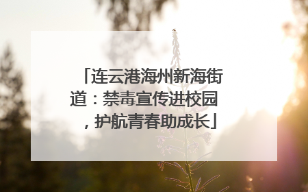 连云港海州新海街道：禁毒宣传进校园，护航青春助成长