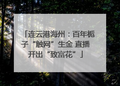 连云港海州：百年栀子“触网”生金 直播开出“致富花”
