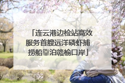 连云港边检站高效服务首艘远洋磷虾捕捞船靠泊赣榆口岸