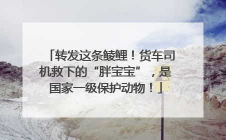 转发这条鲮鲤！货车司机救下的“胖宝宝”，是国家一级保护动物！