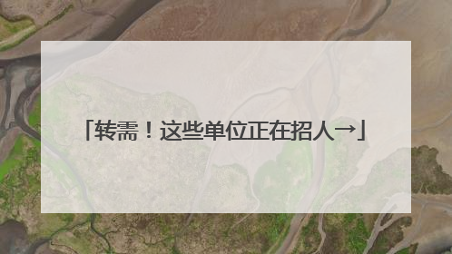 转需！这些单位正在招人→