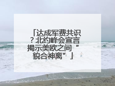 达成军费共识？北约峰会宣言揭示美欧之间“貌合神离”