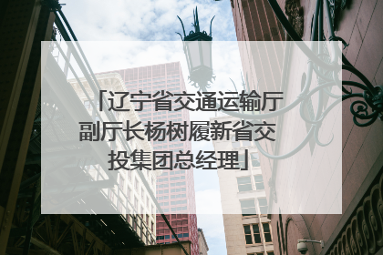 辽宁省交通运输厅副厅长杨树履新省交投集团总经理