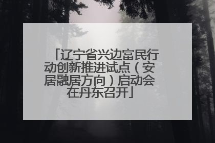 辽宁省兴边富民行动创新推进试点（安居融居方向）启动会在丹东召开