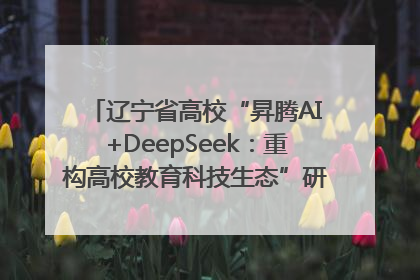 辽宁省高校“昇腾AI+DeepSeek：重构高校教育科技生态”研讨会在沈阳成功举办