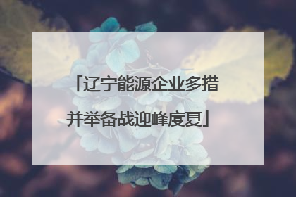 辽宁能源企业多措并举备战迎峰度夏