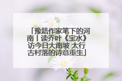 豫籍作家笔下的河南丨读乔叶《宝水》访今日大南坡 太行古村落的诗意重生