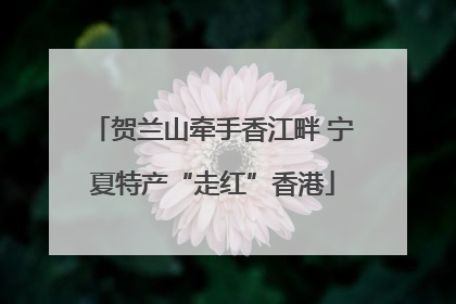 贺兰山牵手香江畔 宁夏特产“走红”香港