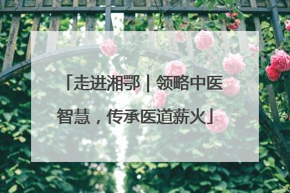 走进湘鄂｜领略中医智慧，传承医道薪火