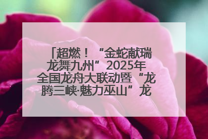 超燃！“金蛇献瑞 龙舞九州”2025年全国龙舟大联动暨“龙腾三峡·魅力巫山”龙舟邀请赛圆满落幕！