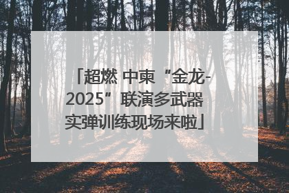 超燃 中柬“金龙-2025”联演多武器实弹训练现场来啦