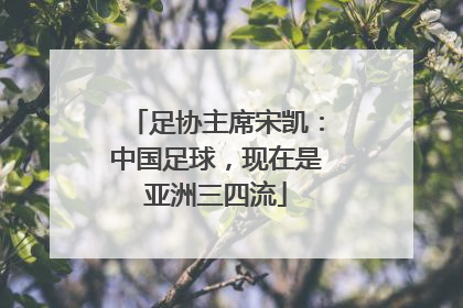 足协主席宋凯：中国足球，现在是亚洲三四流