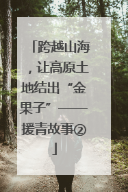 跨越山海，让高原土地结出“金果子”——援青故事②