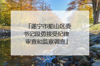 遂宁市船山区委书记段勇接受纪律审查和监察调查