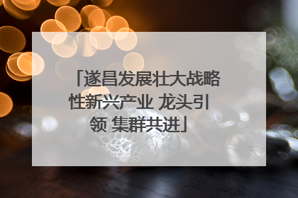遂昌发展壮大战略性新兴产业 龙头引领 集群共进