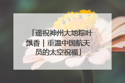 遥祝神州大地粽叶飘香｜重温中国航天员的太空祝福