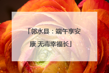 邻水县：端午享安康 无毒幸福长