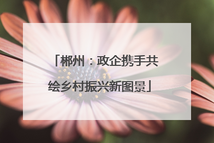 郴州：政企携手共绘乡村振兴新图景
