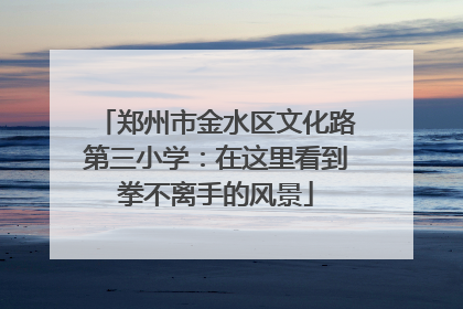 郑州市金水区文化路第三小学：在这里看到拳不离手的风景