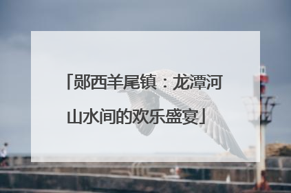 郧西羊尾镇：龙潭河山水间的欢乐盛宴