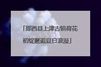 郧西县上津古镇荷花初绽邂逅夏日浪漫
