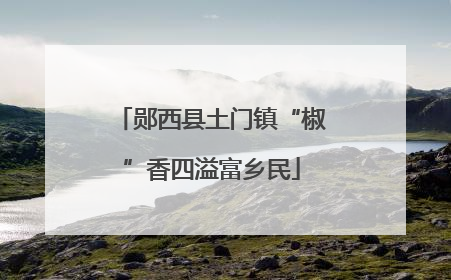 郧西县土门镇“椒”香四溢富乡民