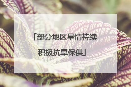 部分地区旱情持续 积极抗旱保供