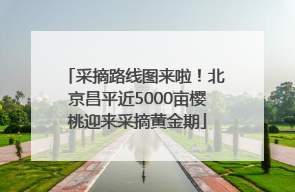 采摘路线图来啦！北京昌平近5000亩樱桃迎来采摘黄金期