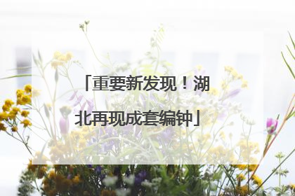 重要新发现！湖北再现成套编钟