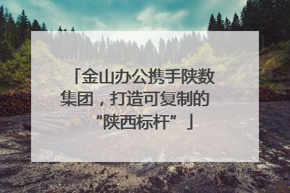 金山办公携手陕数集团，打造可复制的“陕西标杆”