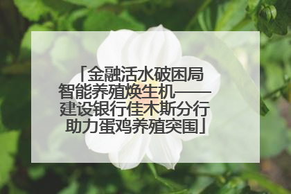 金融活水破困局 智能养殖焕生机——建设银行佳木斯分行助力蛋鸡养殖突围