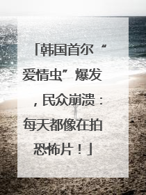韩国首尔“爱情虫”爆发，民众崩溃：每天都像在拍恐怖片！