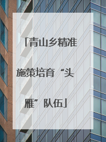 青山乡精准施策培育“头雁”队伍