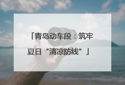 青岛动车段：筑牢夏日“清凉防线”