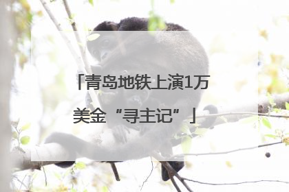 青岛地铁上演1万美金“寻主记”