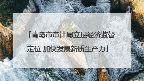青岛市审计局立足经济监督定位 加快发展新质生产力