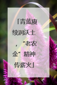 青蓝赓续润沃土，“老农金”精神传薪火