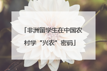非洲留学生在中国农村学“兴农”密码
