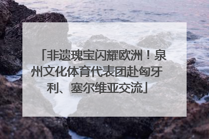 非遗瑰宝闪耀欧洲！泉州文化体育代表团赴匈牙利、塞尔维亚交流