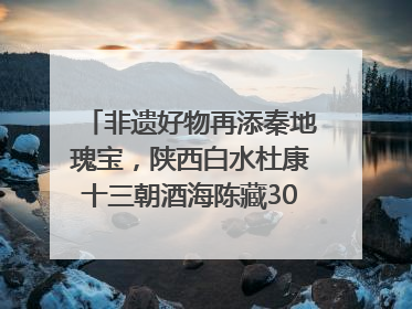 非遗好物再添秦地瑰宝，陕西白水杜康十三朝酒海陈藏30年别具一格