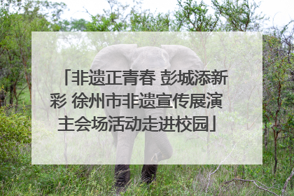 非遗正青春 彭城添新彩 徐州市非遗宣传展演主会场活动走进校园