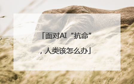 面对AI“抗命”，人类该怎么办